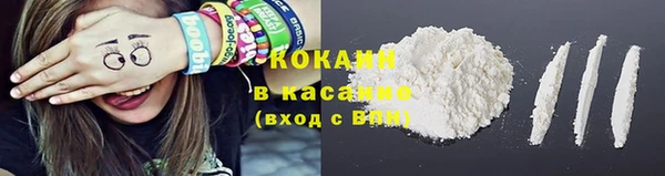 прущие грибы Абинск