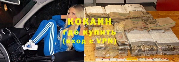 прущие грибы Абинск