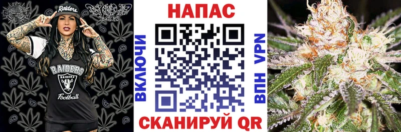 Бошки Шишки сатива Аксай